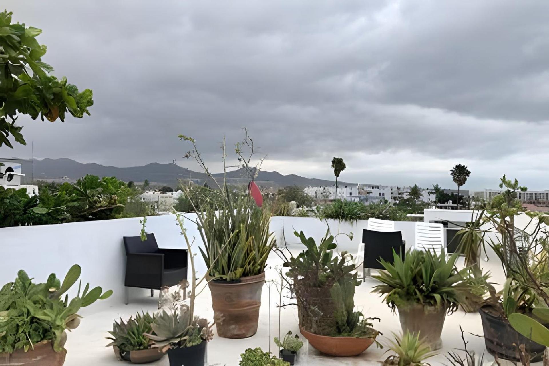 12 De Octubre Apartamento Cabo San Lucas Exterior foto